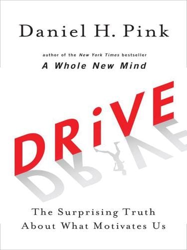 Cover of Drive