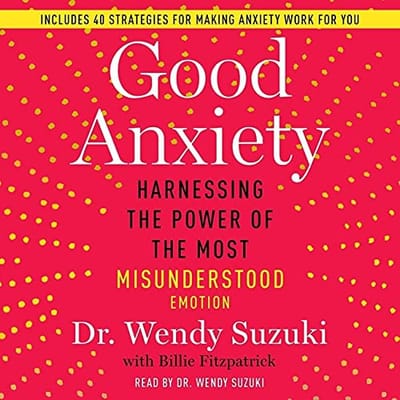 Cover of Good Anxiety