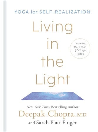 Cover of Living In The Light