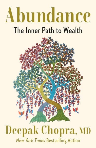 Cover of The Abundance